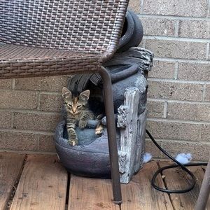 Meet your Posher, Matthew